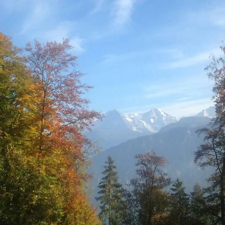App. Seeblick Of Interlaken Beatenberg
