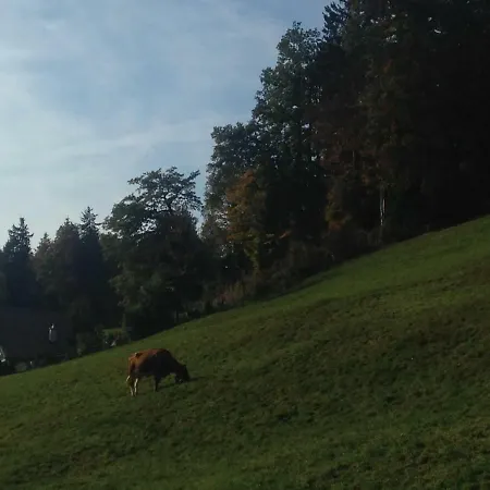 Apartamento App. Seeblick Of Interlaken *