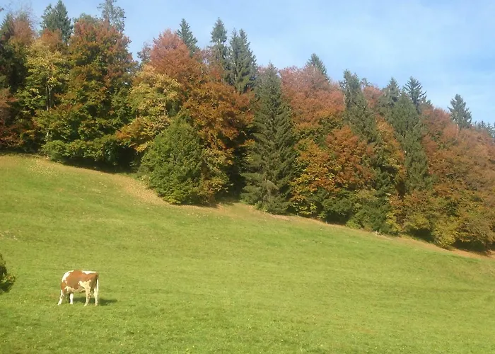 App. Seeblick Of Interlaken