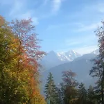 App. Seeblick Of Interlaken ベアテンベルク