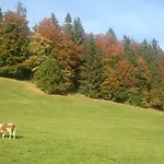 App. Seeblick Of Interlaken