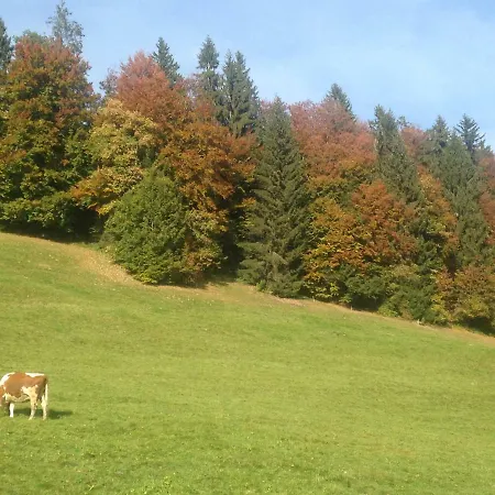 App. Seeblick Of Interlaken