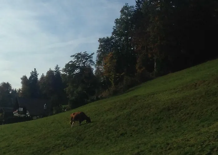 Apartamento App. Seeblick Of Interlaken *
